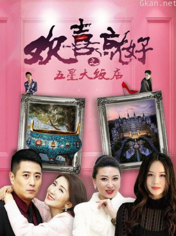 欢喜就好之五星大饭店