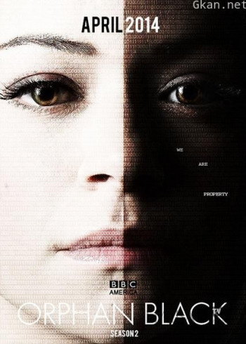 黑色孤儿 第二季