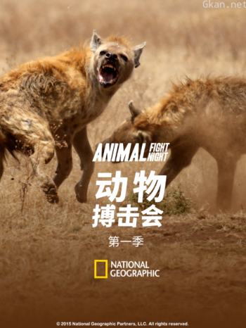 动物搏击会 第一季