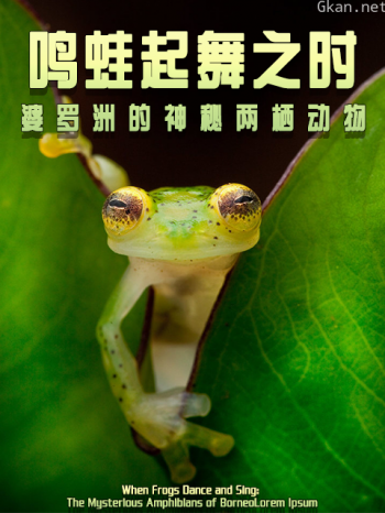鸣蛙起舞之时：婆罗洲的神秘两栖动物
