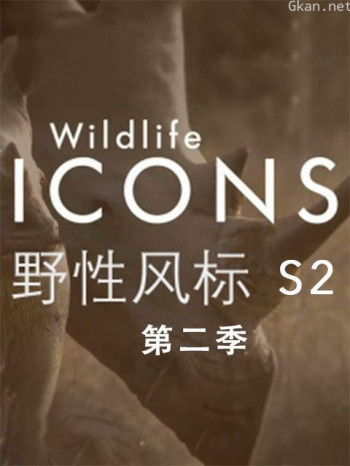野性风标 第二季