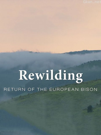 野生动物的回归自然