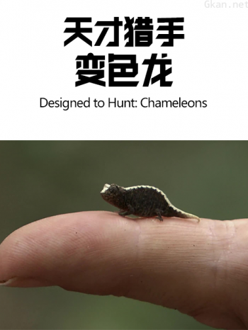 天才猎手：变色龙