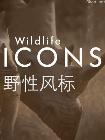 野性风标 第一季