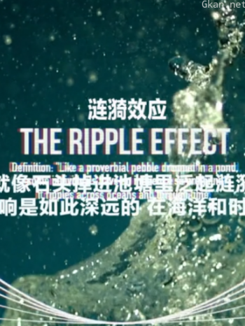 涟漪效应 第二季