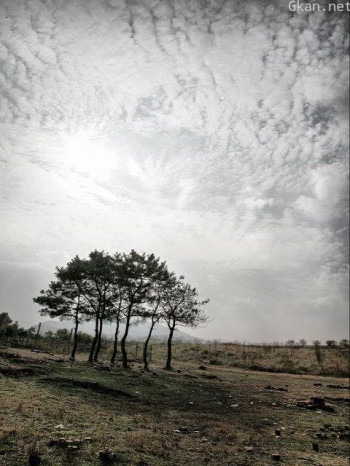 荒野之谜 第一季