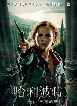 哈利·波特7：哈利·波特与死亡圣器下普通话