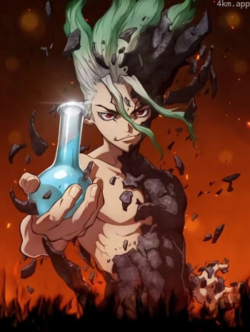 Dr.STONE 石纪元