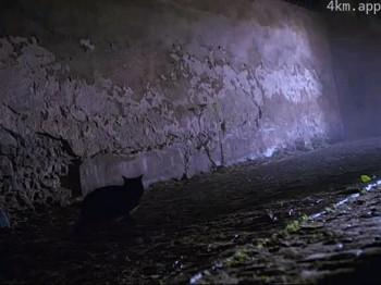 少年印第安纳琼斯大冒险：邪恶面具