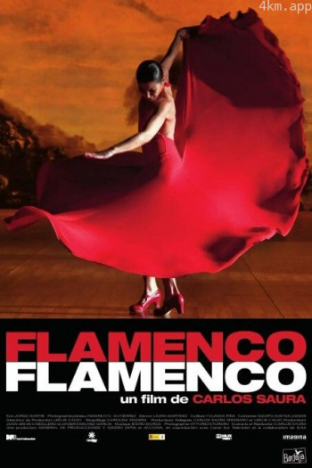 弗拉门戈,弗拉门戈