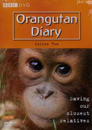 BBC.猩猩日记 第一季