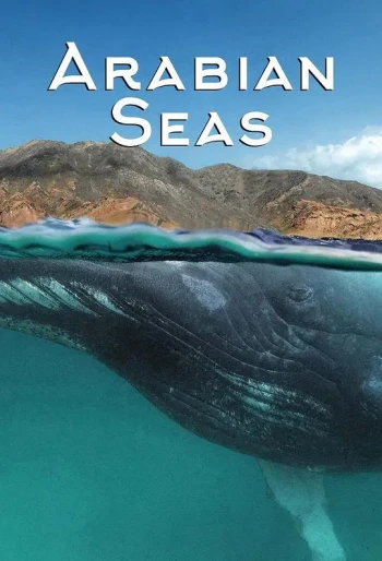 阿拉伯海 第一季
